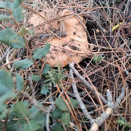 דירה Gemelas 1 Y 2 Turisticos *